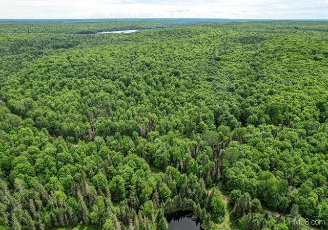 Homes for sale in Iron River, MI | Tbd Forest Hwy 3110, Iron River, MI 49935 | MLS# 50211425