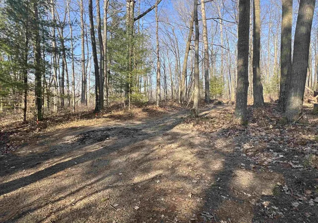 5th image of Lot 44 Hayes Rd, Harrison, MI 48625 | MLS# 50203783