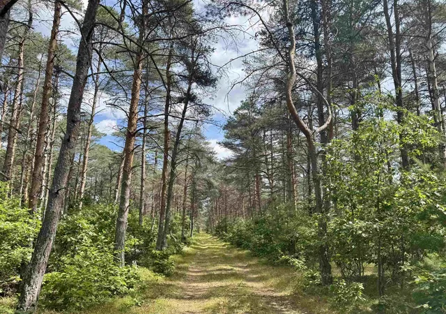1st image of 100 Ac Strawberry Rd, Marion, MI 49665 | MLS# 50186844