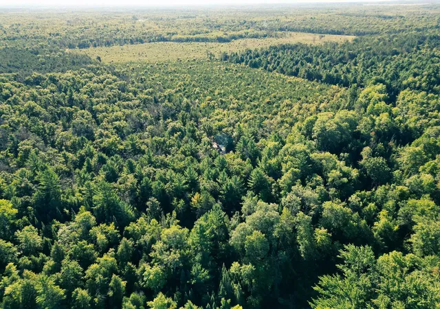 63rd image of 100 Ac Strawberry Rd, Marion, MI 49665 | MLS# 50186844