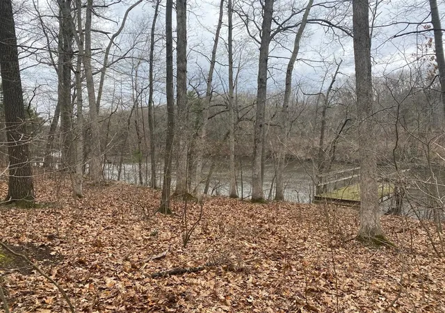 Photo 2 of Land for sale at Vl Bridge Rd, Allegan, MI 49010 | MLS# 70521880 | Listing updated on 2026-04-30