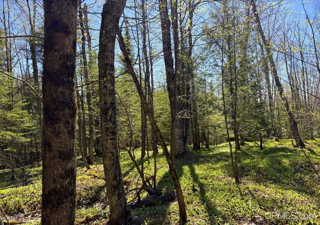 1st image of Tbd Townline Rd, Skandia, MI 49855 | MLS# 50209117