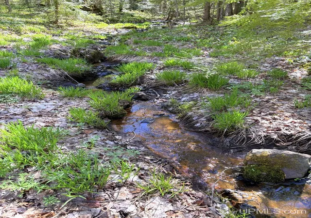Photo 3 of Land for sale at Tbd Townline Rd, Skandia, MI 49855 | MLS# 50209117 | Listing updated on 2026-08-28