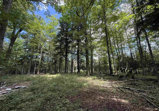 Photo 2 of Land for sale at 3814 Acres Us 2 Hwy, Gulliver, MI 49840 | MLS# 50218843 | Listing updated on 2026-09-14