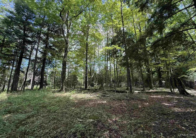 Photo 3 of Land for sale at 3814 Acres Us 2 Hwy, Gulliver, MI 49840 | MLS# 50218843 | Listing updated on 2026-09-14