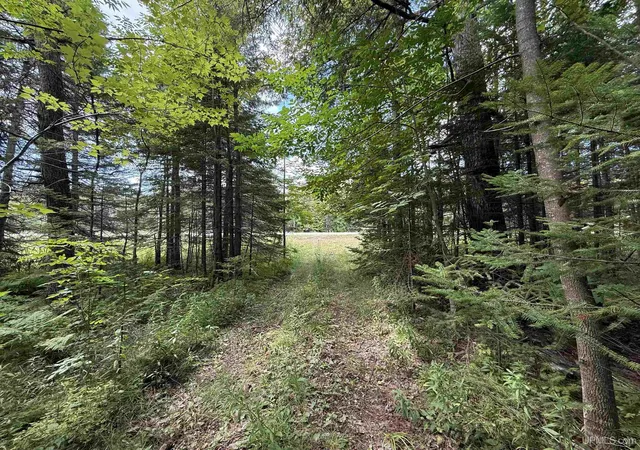 Photo 3 of Land for sale at 3814 Acres US 2 Hwy, Gulliver, MI 49840 | MLS# 50218843 | Listing updated on 2026-09-14