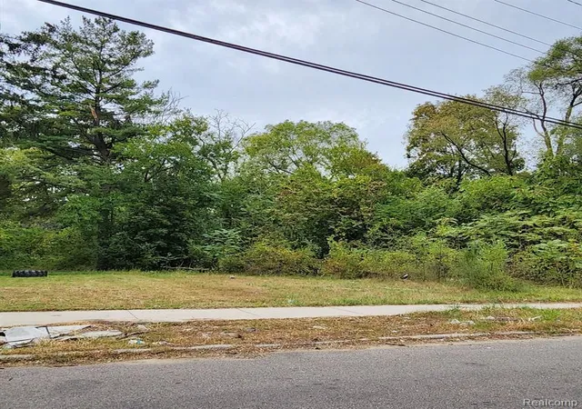 Land for sale at 17609 Trinity St, Detroit, MI 48219 | MLS# 60349360
