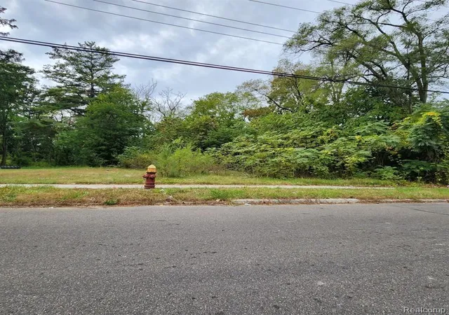 Photo 1 of Land for sale at 17609 Trinity St, Detroit, MI 48219 | MLS# 60349360 | Listing updated on 2025-10-16