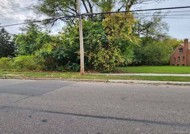 Photo 2 of Land for sale at 17609 Trinity St, Detroit, MI 48219 | MLS# 60349360 | Listing updated on 2025-10-16