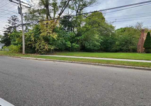 Photo 3 of Land for sale at 17609 Trinity St, Detroit, MI 48219 | MLS# 60349360 | Listing updated on 2025-10-16