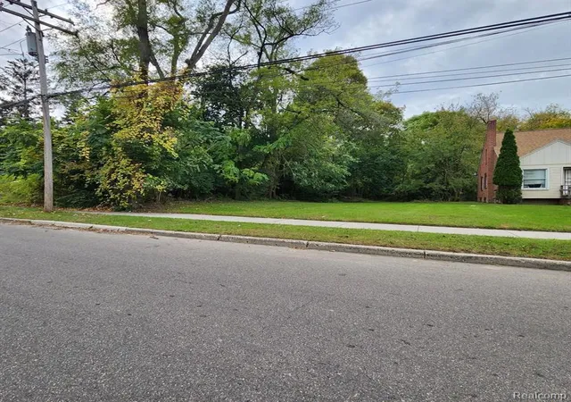 Photo 4 of Land for sale at 17609 Trinity St, Detroit, MI 48219 | MLS# 60349360 | Listing updated on 2025-10-16