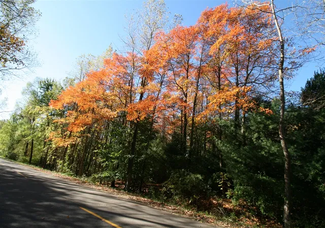 Photo 1 of Land for sale at F 70th Street, South Haven, MI 49090 | MLS# 70460870 | Listing updated on 2026-05-05