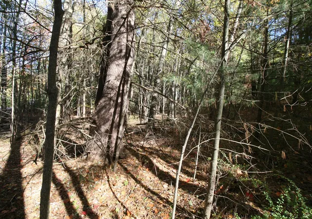 Photo 3 of Land for sale at F 70th Street, South Haven, MI 49090 | MLS# 70460870 | Listing updated on 2026-05-05