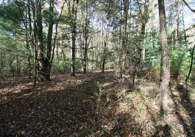 Photo 3 of Land for sale at F 70th Street, South Haven, MI 49090 | MLS# 70460870 | Listing updated on 2026-05-05