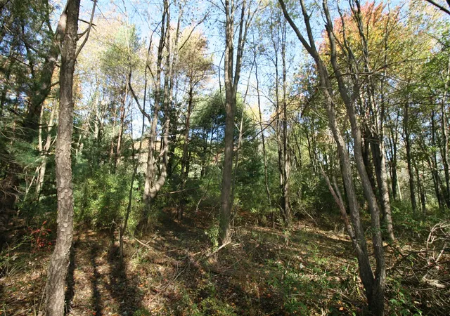Photo 4 of Land for sale at F 70th Street, South Haven, MI 49090 | MLS# 70460870 | Listing updated on 2026-05-05
