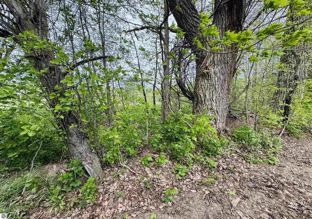 Homes for sale in Manton, MI | Packingham Rd, Manton, MI 49663 | MLS# 80071042