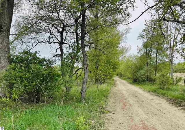 Homes for sale in Manton, MI | Packingham Rd, Manton, MI 49663 | MLS# 80071042
