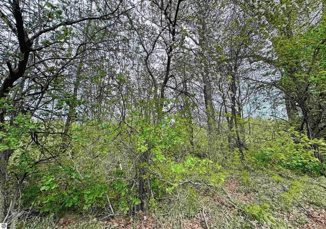 Homes for sale in Manton, MI | Packingham Rd, Manton, MI 49663 | MLS# 80071042
