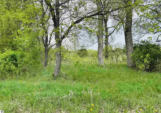 Homes for sale in Manton, MI | Packingham Rd, Manton, MI 49663 | MLS# 80071042