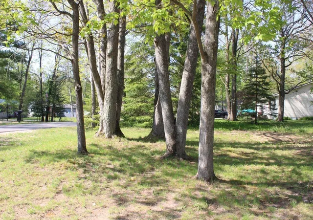 Homes for sale in Kalkaska, MI | 817 E Dresden St #Lot: 37, Kalkaska, MI 49646 | MLS# 80068986