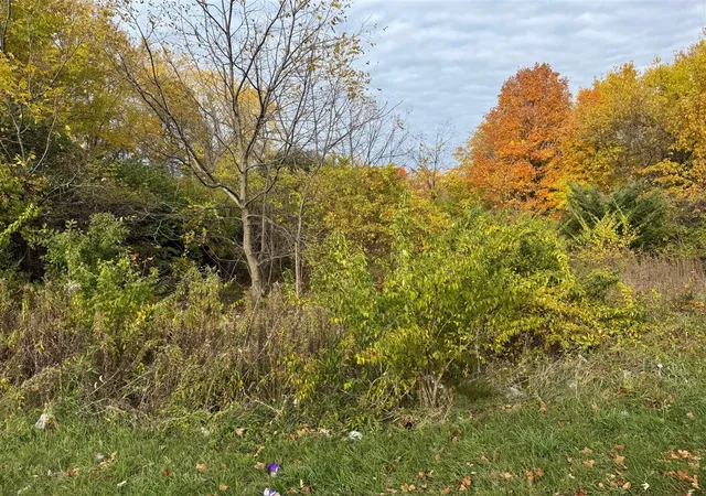 Photo 2 of Land for sale at 179 Collins Ave, Benton Harbor, MI 49022 | MLS# 70503372 | Listing updated on 2026-08-23