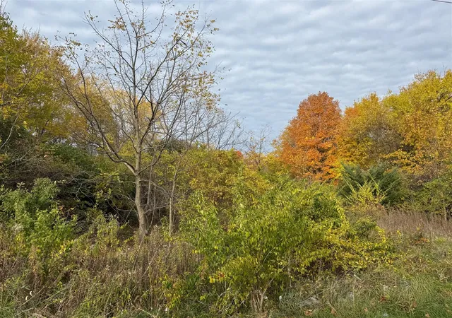 Photo 3 of Land for sale at 179 Collins Ave, Benton Harbor, MI 49022 | MLS# 70503372 | Listing updated on 2026-08-23