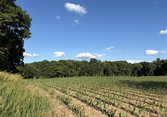 image of Allman Rd, Concord, MI 49237 | MLS# 70541021