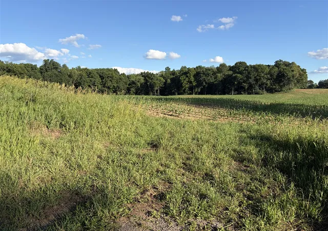 image of Allman Rd, Concord, MI 49237 | MLS# 70541021