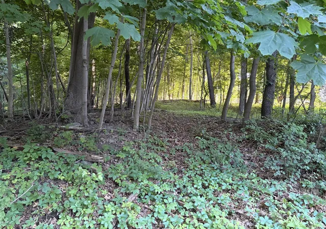 image of Allman Rd, Concord, MI 49237 | MLS# 70541021