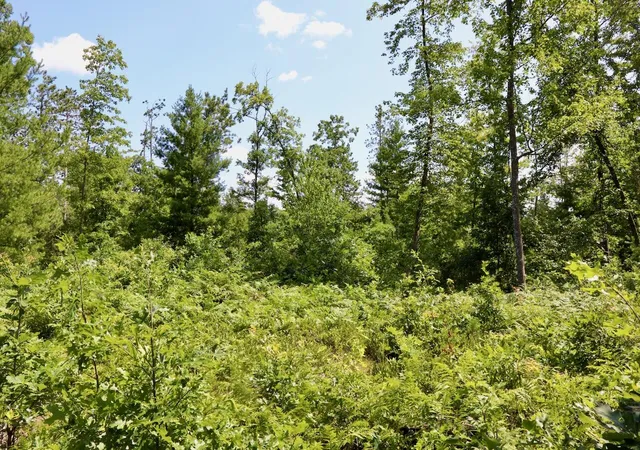 Photo 4 of Land for sale at 04 Dl To Earth Way, Prescott, MI 48756 | MLS# 70548599 | Listing updated on 2026-09-05