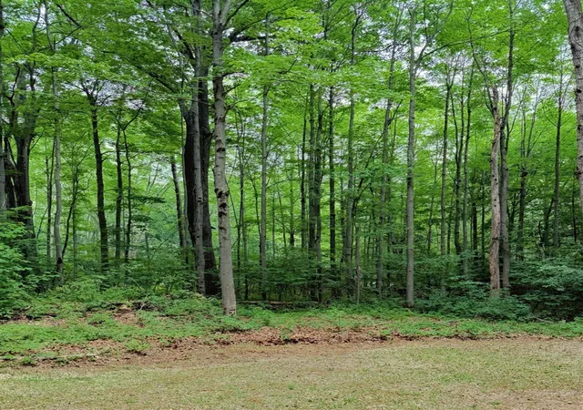 Photo 2 of Sale Pending at 109 Bluff Rd, Le Roy, MI 49655 | MLS# 70546714 | Listing updated on 2026-07-23