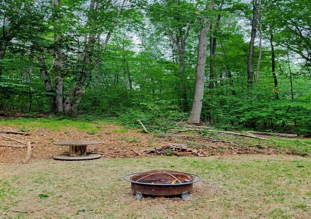 Photo 4 of Sale Pending at 109 Bluff Rd, Le Roy, MI 49655 | MLS# 70546714 | Listing updated on 2026-07-23