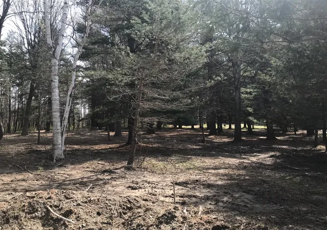 2nd image of Lot 1 Creekwood Dr, South Haven, MI 49090 | MLS# 70525533