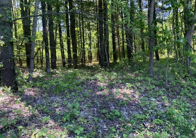 Homes for sale in Grand Junction, MI | V/L Brenan Rd, Grand Junction, MI 49056 | MLS# 70536204