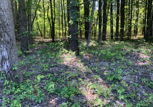 Homes for sale in Grand Junction, MI | V/l Brenan Rd, Grand Junction, MI 49056 | MLS# 70536204
