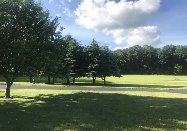 3rd image of 223 Leo Dr, Burlington, MI 49029 | MLS# 70554393