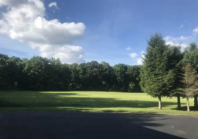 5th image of 223 Leo Dr, Burlington, MI 49029 | MLS# 70554393