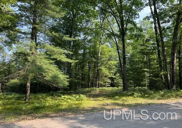 Photo 2 of Land for sale at 124 Acres Steffen Ln, Pembine, WI 54156 | MLS# 50218162 | Listing updated on 2026-08-13
