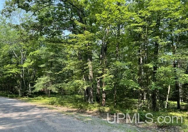 Photo 3 of Land for sale at 124 Acres Steffen Ln, Pembine, WI 54156 | MLS# 50218162 | Listing updated on 2026-08-13