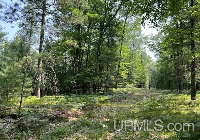 Photo 3 of Land for sale at 124 Acres Steffen Ln, Pembine, WI 54156 | MLS# 50218162 | Listing updated on 2026-08-13