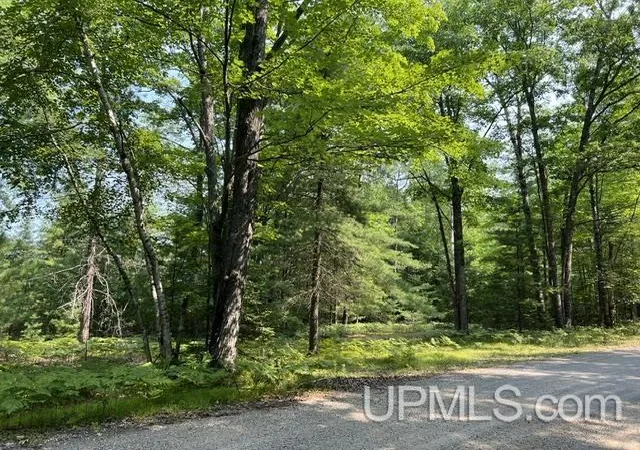 Photo 4 of Land for sale at 124 Acres Steffen Ln, Pembine, WI 54156 | MLS# 50218162 | Listing updated on 2026-08-13
