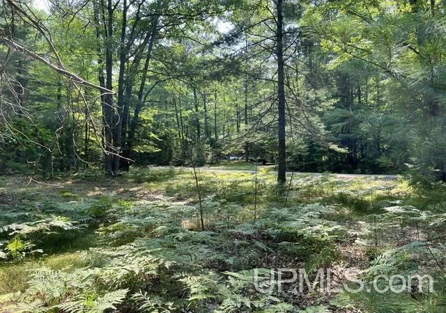 Photo 8 of Land for sale at 124 Acres Steffen Ln, Pembine, WI 54156 | MLS# 50218162 | Listing updated on 2026-08-13