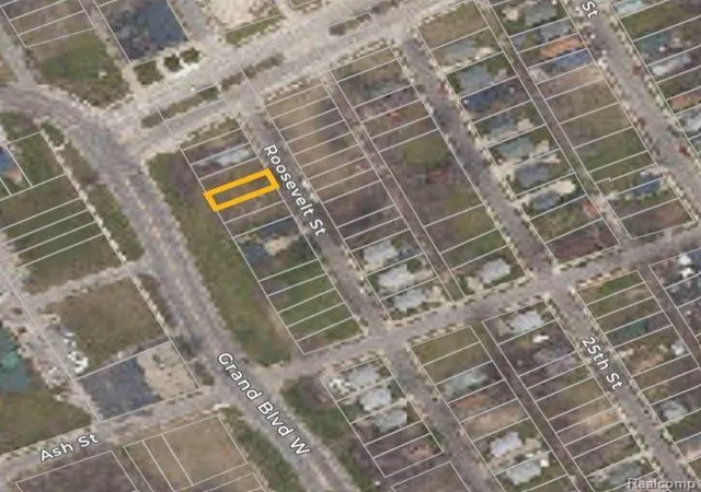 Photo 2 of Land for sale at 3369 Roosevelt St, Detroit, MI 48208 | MLS# 60301170 | Listing updated on 2026-02-04