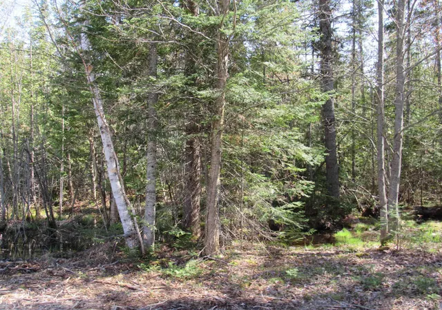 image of Tbd Rice Lake Rd, Lake Linden, MI 49945 | MLS# 50143060