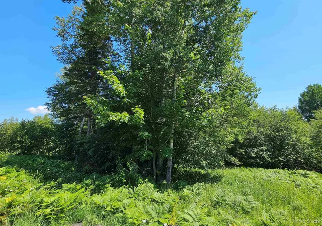 1st image of Tbd Parcel M7 Applewood Dr, Houghton, MI 49931 | MLS# 50214713