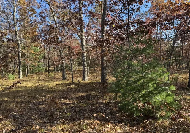Homes for sale in Free Soil, MI | Parcel 9 County Line Rd, Free Soil, MI 49411 | MLS# 70519671