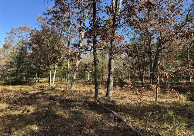 Homes for sale in Free Soil, MI | Parcel 9 County Line Rd, Free Soil, MI 49411 | MLS# 70519671