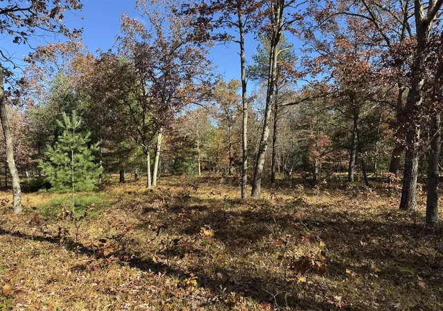 Homes for sale in Free Soil, MI | Parcel 9 County Line Rd, Free Soil, MI 49411 | MLS# 70519671