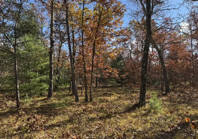 Homes for sale in Free Soil, MI | Parcel 9 County Line Rd, Free Soil, MI 49411 | MLS# 70519671