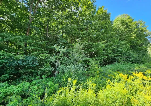 Photo 1 of Land for sale at Vl Cedar Valley Ridge Dr, Traverse City, MI 49684 | MLS# 80073059 | Listing updated on 2026-09-03